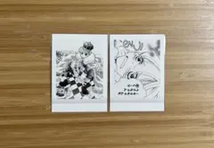 ぱしゃこれ 桜蘭高校ホスト部 埴之塚光邦