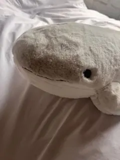 ひざくじら　ぬいぐるみ　海遊館