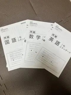 スタディサプリ到達度テスト　2024 Ⅰ秋　スタンダードのサムネイル
