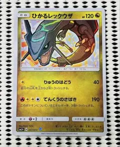 ひかるレックウザ　1枚　260623-5のサムネイル