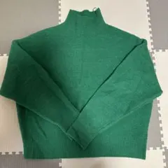 グリーン タートル