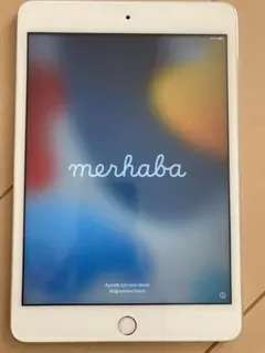 2025年最新】Ipad mini4 ジャンク 128の人気アイテム - メルカリ