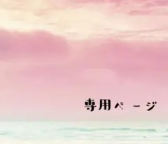 じゅんじゅん様 リクエスト 2点 まとめ商品