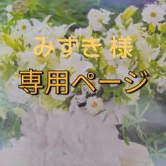 みずき ☆プロフ必読☆様　専用（感謝）/4
