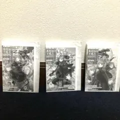 本好きの下剋上 ハンネローレの貴族院五年生 特典SS 1〜3セットのサムネイル