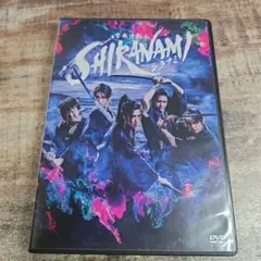音楽活劇　SHIRANAMI　シラナミ　DVD