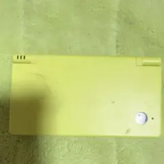 ニ*ャ様 ニンテンドーDS i 本体
