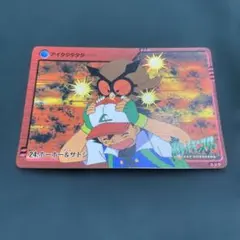 ポケモン　カードダス　アニメコレクション　24 ホーホー&サトシ