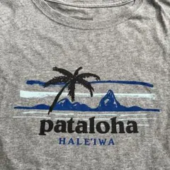 ハワイPatagonia限定　pataloha グレー TシャツジュニアＸＸＬ