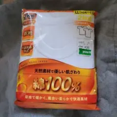 Item thumbnail for item 7c73aa40-0762-4877-a1d9-1fd7f4b2212b