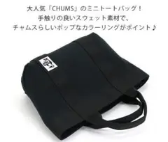 CHUMSミニトートバッグ／スウェット／黒