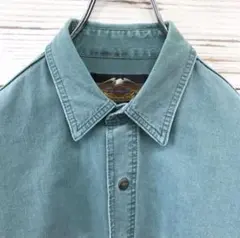 《希少カラー》ハーレーダビッドソン☆長袖シャツ ワンポイントロゴ グリーン