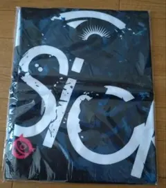 Sick2 祭さんチェキ26枚まとめ売り sick2 祭 チェキ5枚＋キーホルダー サイン有の通販 by Pi shop｜ラクマ