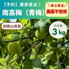 ちか様専用商品 南高梅（青梅）3kg 5月下旬発送