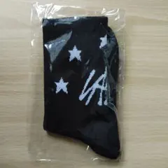 StrayKids スキズ アップグレード特典 靴下 公式品