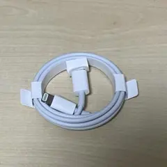 Apple 充電ケーブル ライトニング Type-C 純正