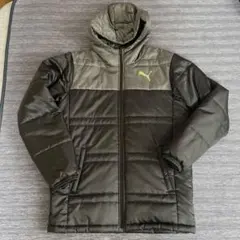 ダウンジャケット ブルゾン