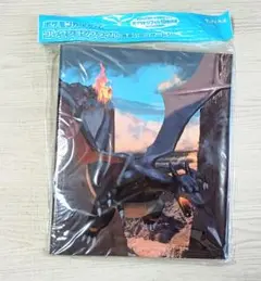 色違いのリザードン　ポケモン コレクションファイル