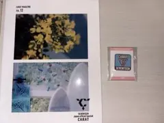 SEVENTEEN セブチ　ファンクラブ会報　バッジ