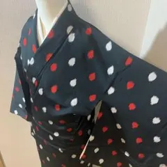 に*ん様 A138⭐️アンティーク着物　大正ロマン　お召　水玉　逸品　広襟