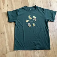 mont-bell Tシャツ 150サイズ グリーンのサムネイル