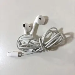 Apple ライトニング イヤホン 有線 純正 iPhone