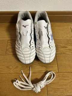 【値下げ！】ミズノ モナルシーダ ネオ 22cm