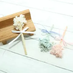 スターフラワーミニ　150本セット　G2