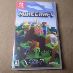 限定マリオマッシュアップ付き！Minecraft Nintendo Switch