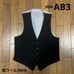 Item thumbnail for item 0bcd5ba8-8a38-4c81-9513-b1d13d36f03e