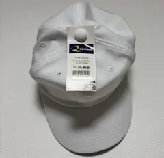 Item thumbnail for item c3c63ce3-e00f-41a8-9fa4-0937c99cad11