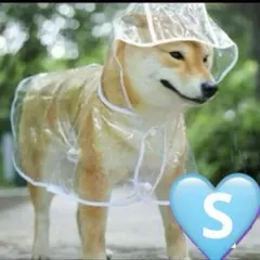 【SALE】犬用レインコート Sペットレインコート 耐水性　カッパ 雨　散歩　犬のサムネイル