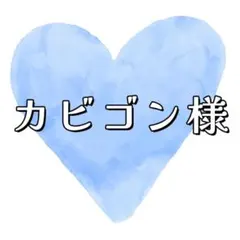 カビゴン様　専用　ページ