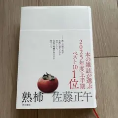 熟柿 佐藤正午 KADOKAWA