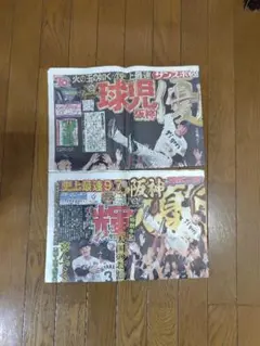阪神タイガース 優勝記念 新聞 2025年9月8日 2紙セットスポニチ、サンスポのサムネイル