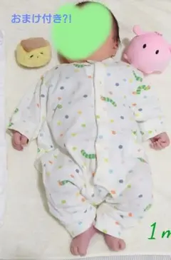 はらぺこあおむし 60cm