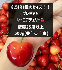 クール便　超希少8.5R 巨大レーニアチェリー 糖度25度超 1kg チェリー 超希少8.5R 巨大レーニアチェリー 糖度25度以上 500g クール便 - メルカリ