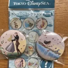ディズニーシー　カンバッジコレクション　メルカリ便