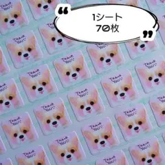 esoreka ※必ずプロフお読み下さい様 リクエスト 2点 まとめ商品