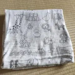 Item thumbnail for item 1ce3d97e-5ed7-4ccc-a062-527d32e8a1a9