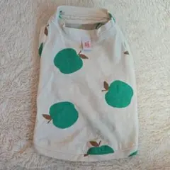 Item thumbnail for item b7460f0f-ab1d-476f-9a28-b15843f00430