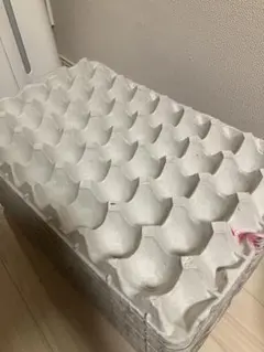 Item thumbnail for item e785819c-93a9-46d1-9923-4b79dd1d01a6