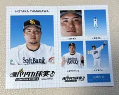 山川穂高 記念グッズ