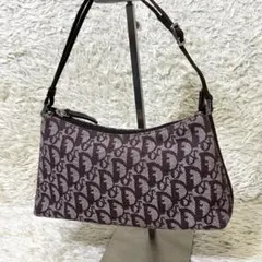 【美品】クリスチャンディオール アクセサリーポーチ トロッター柄 2way