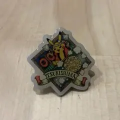 【匿名配送】ポケモン ご当地ピンズコレクション