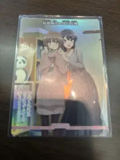 ビルディバイド　青春ブタ野郎はおでかけシスターの夢を見ない　VT