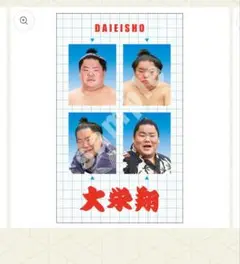 【開封済】大相撲　NEW！証明写真風ステッカーvol.1　大栄翔