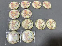 魔法つかいプリキュア モフルン 缶バッジ 12個セット フラワーカフェ