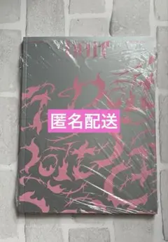 straykids スキズ　DO it ITver. 通常盤　開封済み