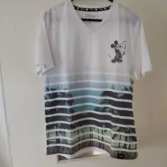 Item thumbnail for item 6e5aa2ee-0474-41a9-a8dc-d9336c0780e3